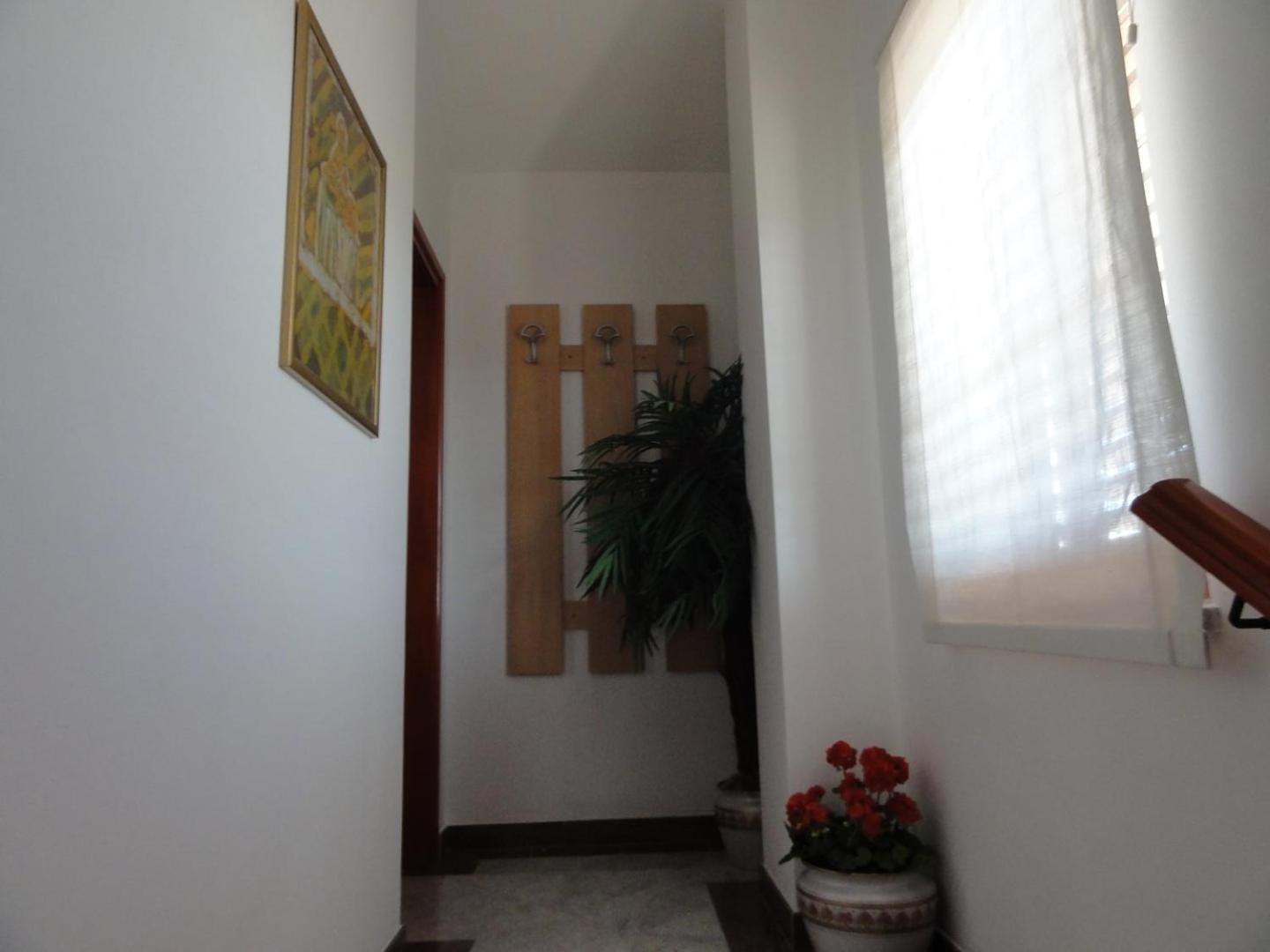 Cozy Apartments And Rooms Pavicini Segotici Bagian luar foto