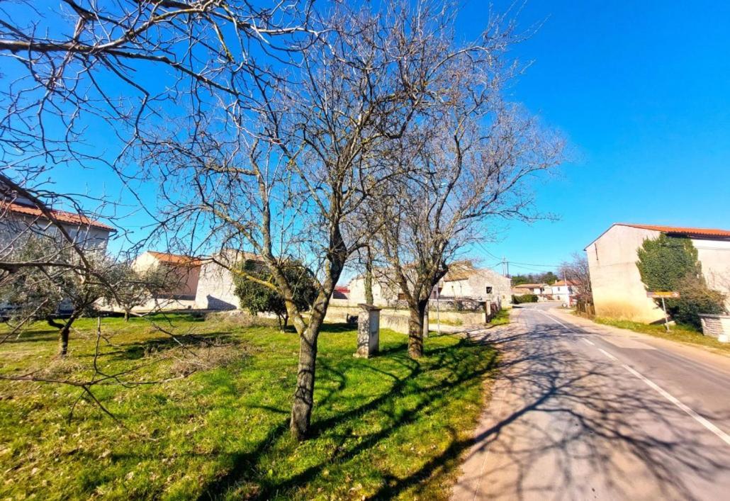 Cozy Apartments And Rooms Pavicini Segotici Bagian luar foto
